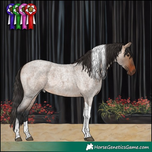 Horse Color:Bay Roan Dun Tobiano 