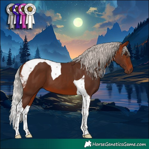 Horse Color:Silver Bay Tobiano 