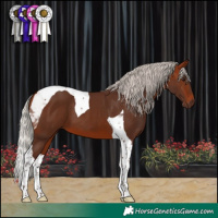 Horse Color:Silver Bay Tobiano 