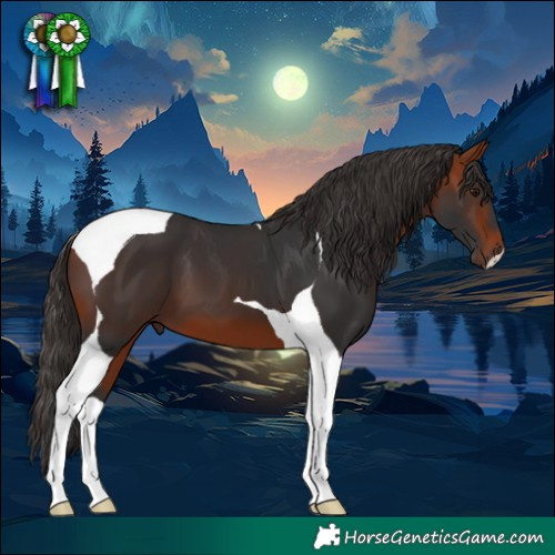 Horse Color:Bay Tobiano 