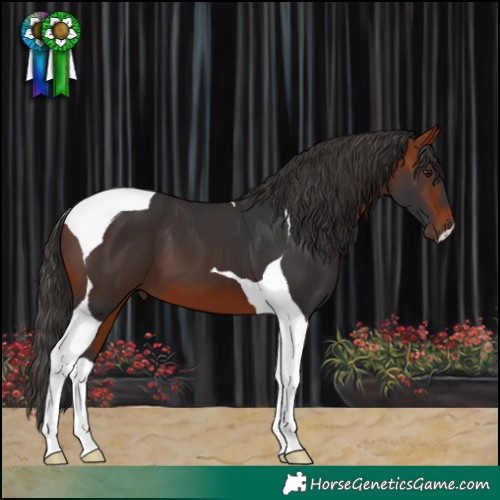 Horse Color:Bay Tobiano