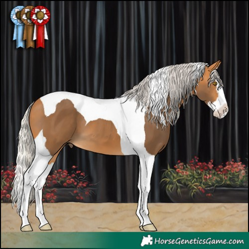 Horse Color:Silver Buckskin Splash Tobiano