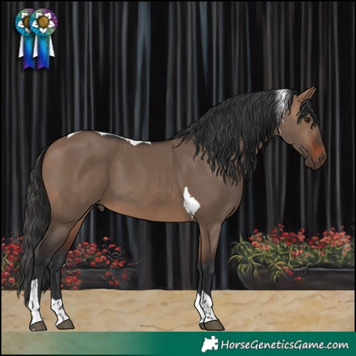 Horse Color:Brown Dun Tobiano 