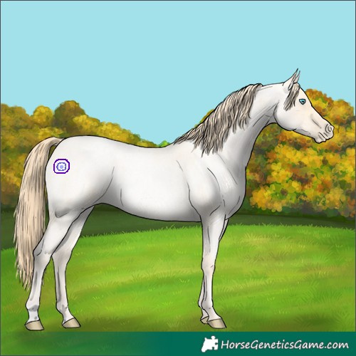 Horse Color:Buckskin Roan Pearl and Buckskin Roan Pearl