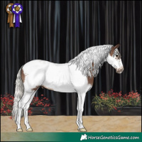 Horse Color:Silver Black Splash Tobiano Frame