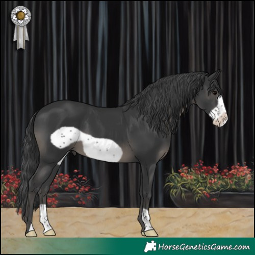 Horse Color:Black Frame