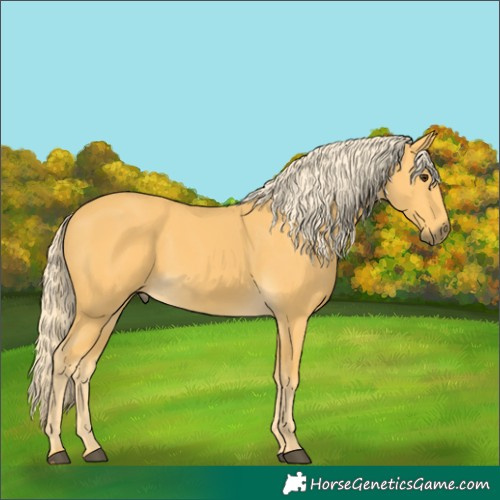 Horse Color:Palomino