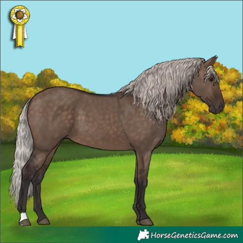 Horse Color:Silver Brown Dun