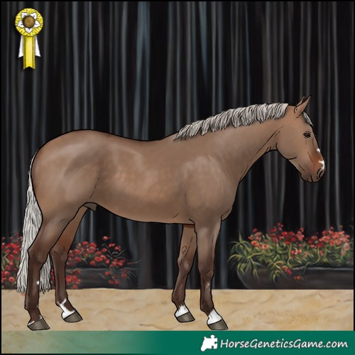 Horse Color:Silver Brown Dun