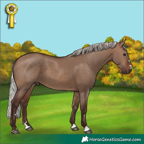 Horse Color:Silver Brown Dun