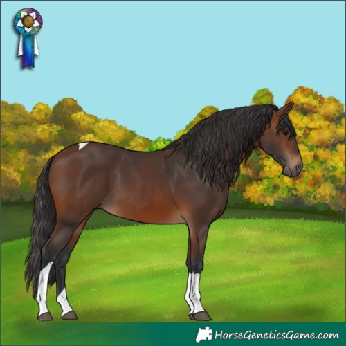 Horse Color:Brown Tobiano 