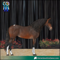Horse Color:Brown Tobiano