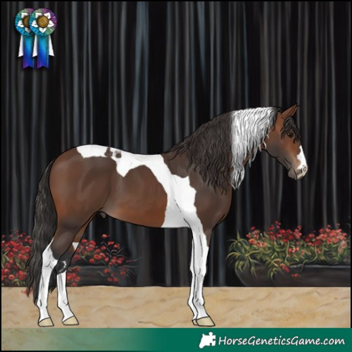 Horse Color:Brown Tobiano