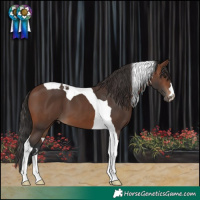 Horse Color:Brown Tobiano 