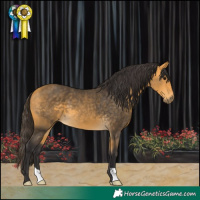 Horse Color:Buckskin 