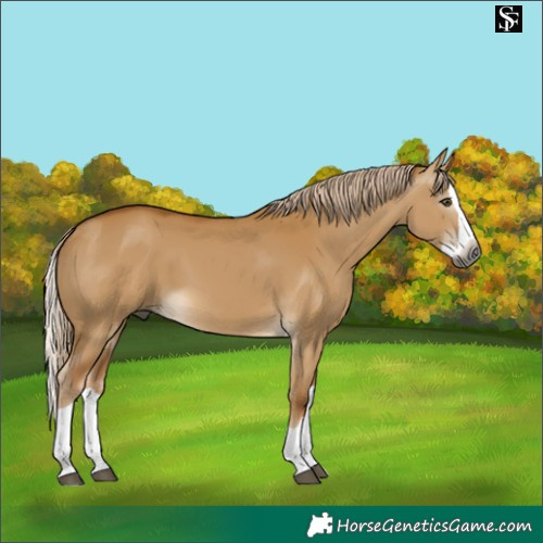 Horse Color:Gray Palomino Dun Splash 