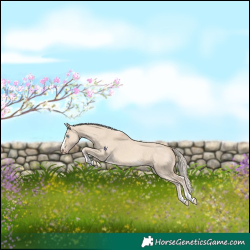Horse Color:Cremello Dun