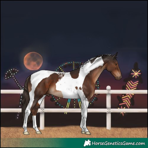 Horse Color:Liver Chestnut Tobiano 
