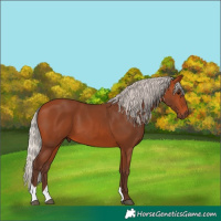 Horse Color:Silver Bay