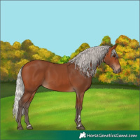 Horse Color:Silver Bay