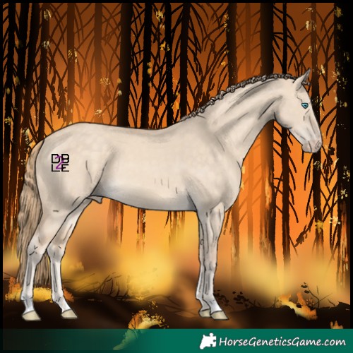 Horse Color:Perlino Dun 