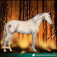 Horse Color:Perlino Dun 