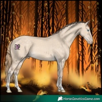 Horse Color:Perlino Dun