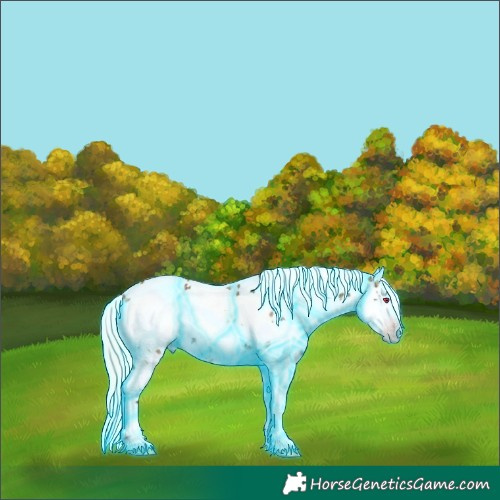 Horse Color:Gray Thunderstruck White Spotted Silver Sable Champagne Ice Onyx Splash Skewed LP Spotted Rabicano
