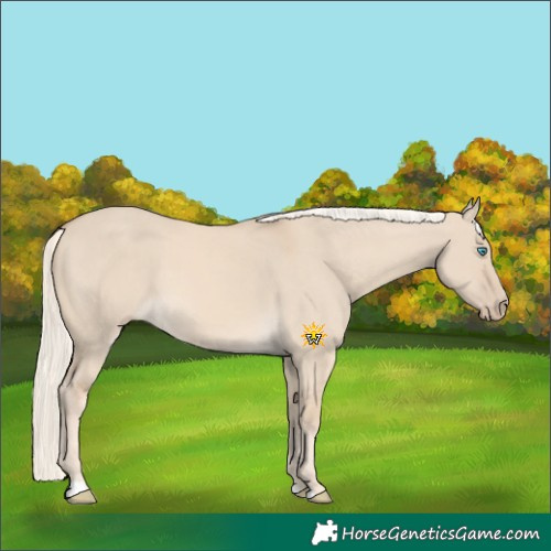 Horse Color:Cremello Dun