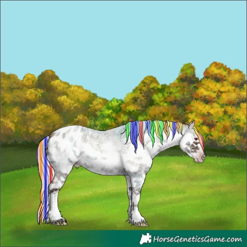 Horse Color:Gray Painted Silver Sable Champagne Ice Roan Onyx Splash Blanket Rabicano 