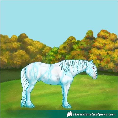 Horse Color:Gray Thunderstruck White Spotted Silver Amber Champagne Ice Onyx Harlequin Merle Splash Skewed LP Spotted Rabicano