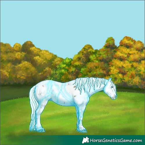 Horse Color:Thunderstruck White Spotted Silver Amber Cream Champagne Ice Pearl Onyx Harlequin Merle Splash Leopard Rabicano