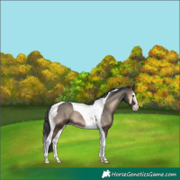 Horse Color:Blue Onyx Splash Tobiano