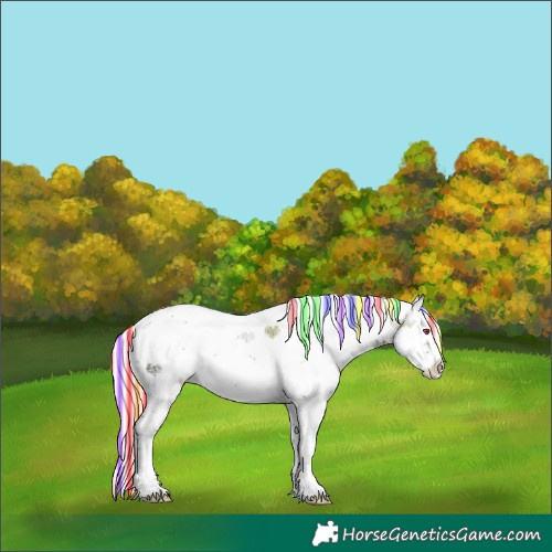 Horse Color:Painted White Spotted Silver Sable Champagne Ice Onyx Harlequin Merle Splash Skewed Appaloosa Rabicano 