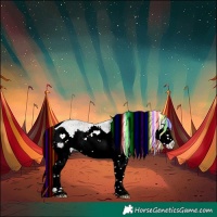 Horse Color:Painted Silver Sable Champagne Ice Roan Onyx Harlequin Merle Splash Skewed LP Spotted Rabicano 