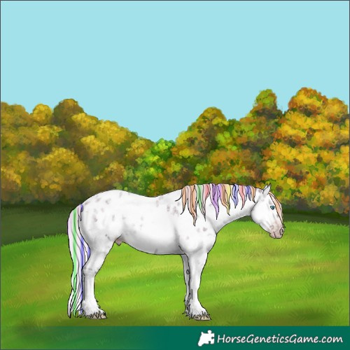 Horse Color:Gray Painted Silver Sable Cream Champagne Ice Roan Pearl Onyx Splash Tobiano Appaloosa Rabicano