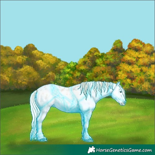 Horse Color:Thunderstruck Silver Sable Champagne Ice Roan Onyx Splash Skewed Appaloosa Rabicano