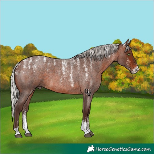 Horse Color:Powder White Silver Brown Roan 