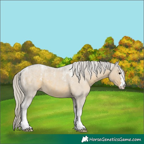 Horse Color:Powder White Silver Smoky Grullo