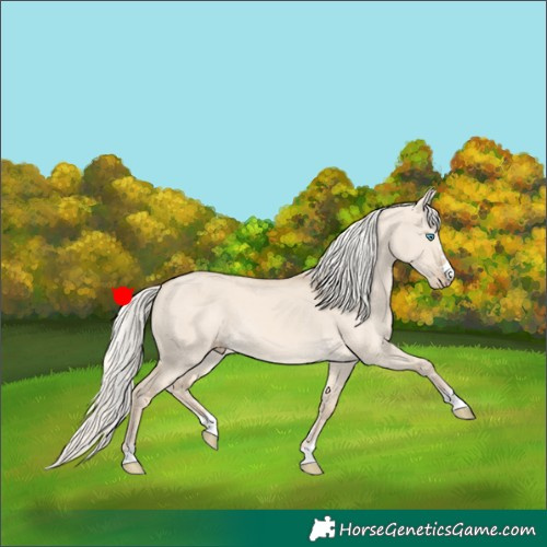Horse Color:Cremello Dun 
