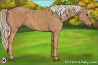 Horse Color:Chestnut Brindle