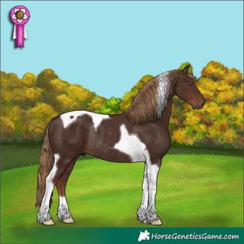 Horse Color:Liver Chestnut Tobiano Rabicano 