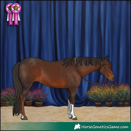 Horse Color:Liver Chestnut Tobiano Rabicano