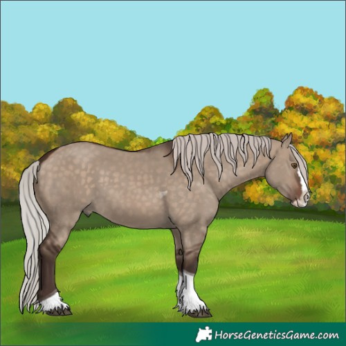 Horse Color:Silver Brown Dun Splash Tobiano Rabicano 