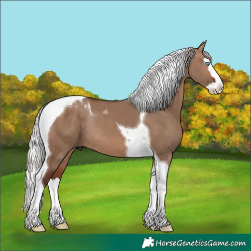 Horse Color:Silver Brown Dun Splash Tobiano Rabicano 