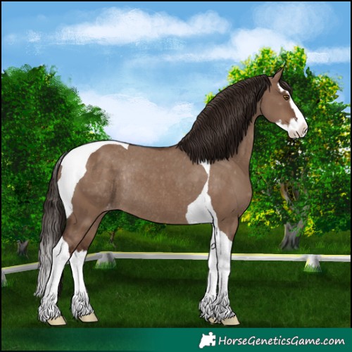Horse Color:Liver Red Dun Splash Tobiano Varnish Rabicano