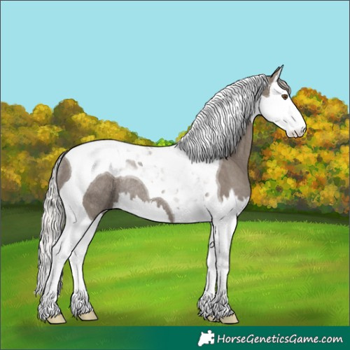 Horse Color:Silver Grullo Splash Tobiano Rabicano