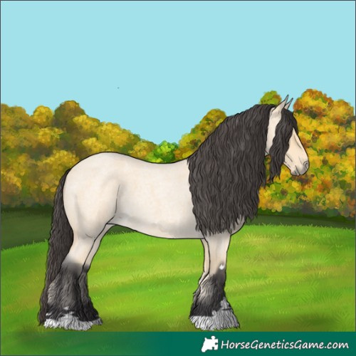 Horse Color:Buckskin Roan