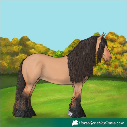 Horse Color:Bay Dun