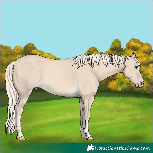 Horse Color:Cremello Dun